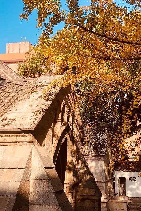 行走烟台市,行走烟台山