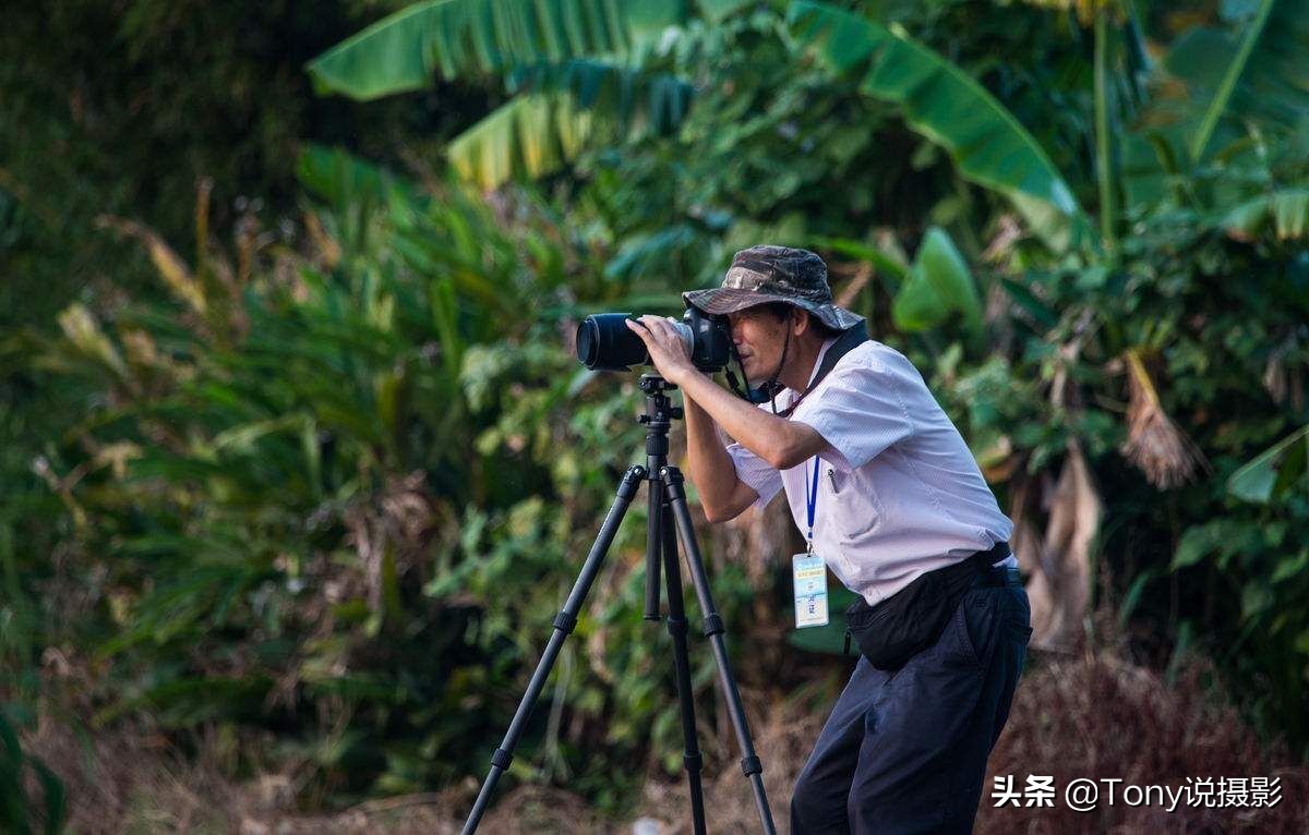 摄影三脚架推荐,来图摄影三脚架