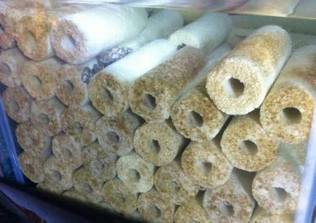 鱼缸细菌屋放在底砂底下吗,鱼缸细菌屋下面