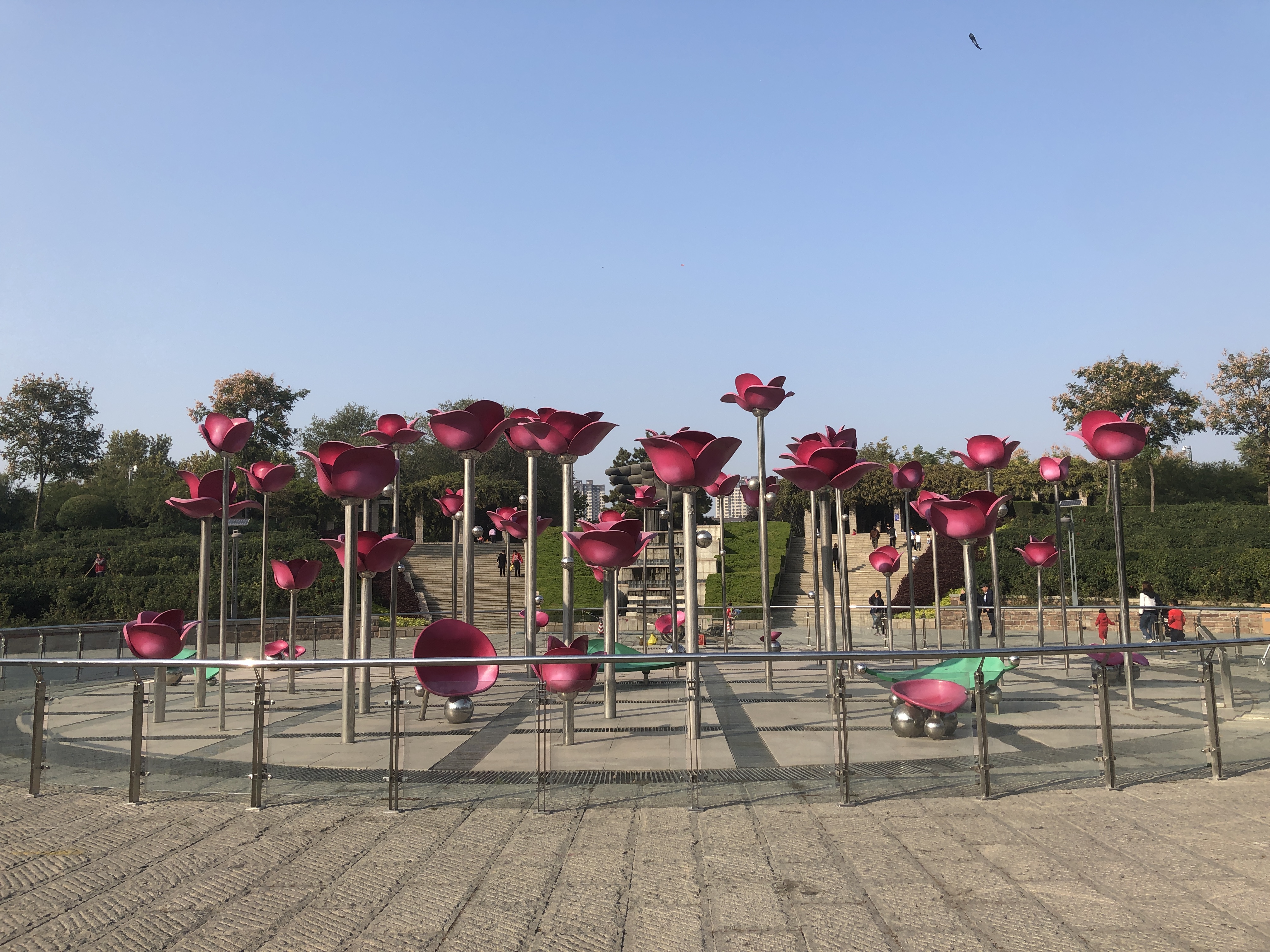 济南森林公园夏荷之美,雨后的济南森林公园美景让人陶醉