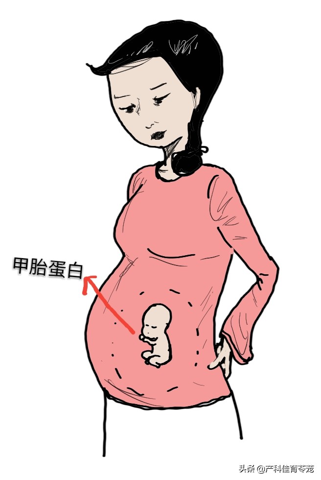 肿瘤标志物是甲胎蛋白,如何看肿瘤标志物系列之甲胎蛋白