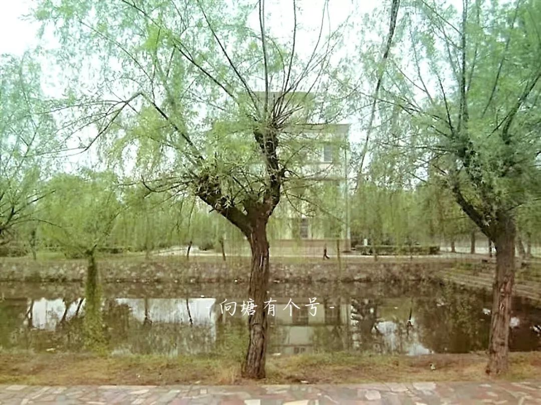 向塘好久不见,向塘中学