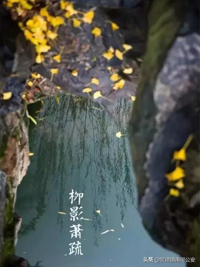 诗词丨33首名作，尽现大唐荣耀289年