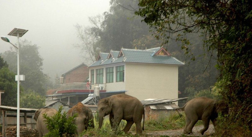 2018西双版纳旅游游记 (西双版纳小曼谷游记)