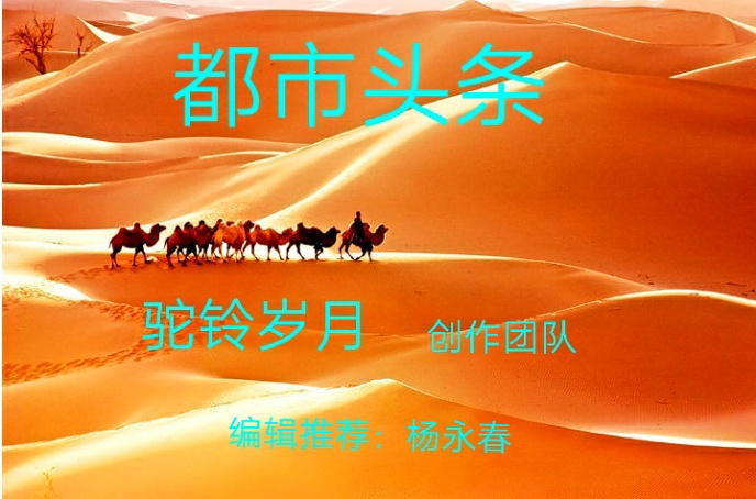 长尾巴黑灰色鸟类图片,长尾巴黑灰相间的猫