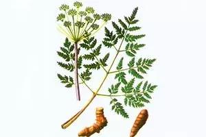 中医治疗脱发食疗秘方,熬夜多梦脱发中医辨证论治