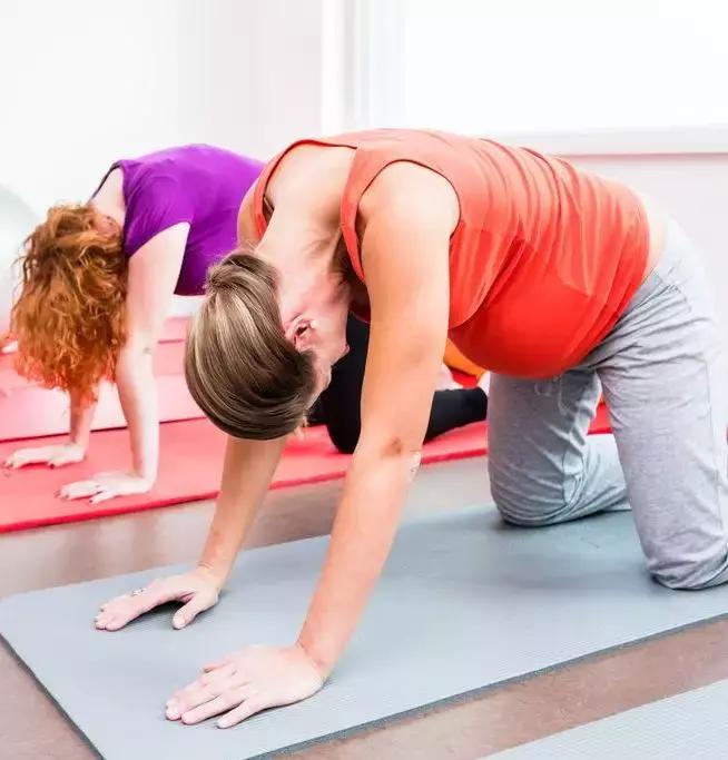 怎样缩短产程加快生产,一招缩短母猪产程