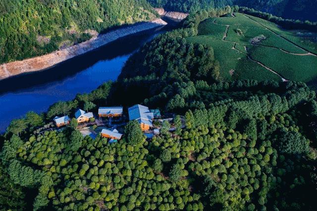 睡进云端，手触星辰，来遂昌过几天诗意的山居生活！