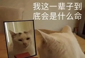 经纬辉收购诺思微,经纬辉开并购传闻