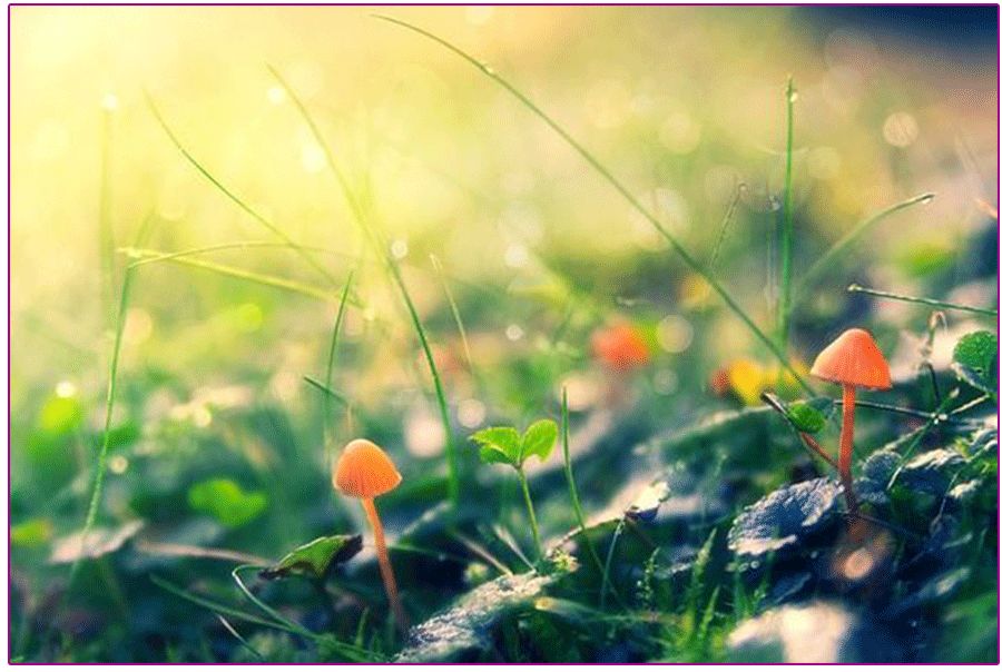 美丽的城堡绘画,儿童画城堡绘画教程