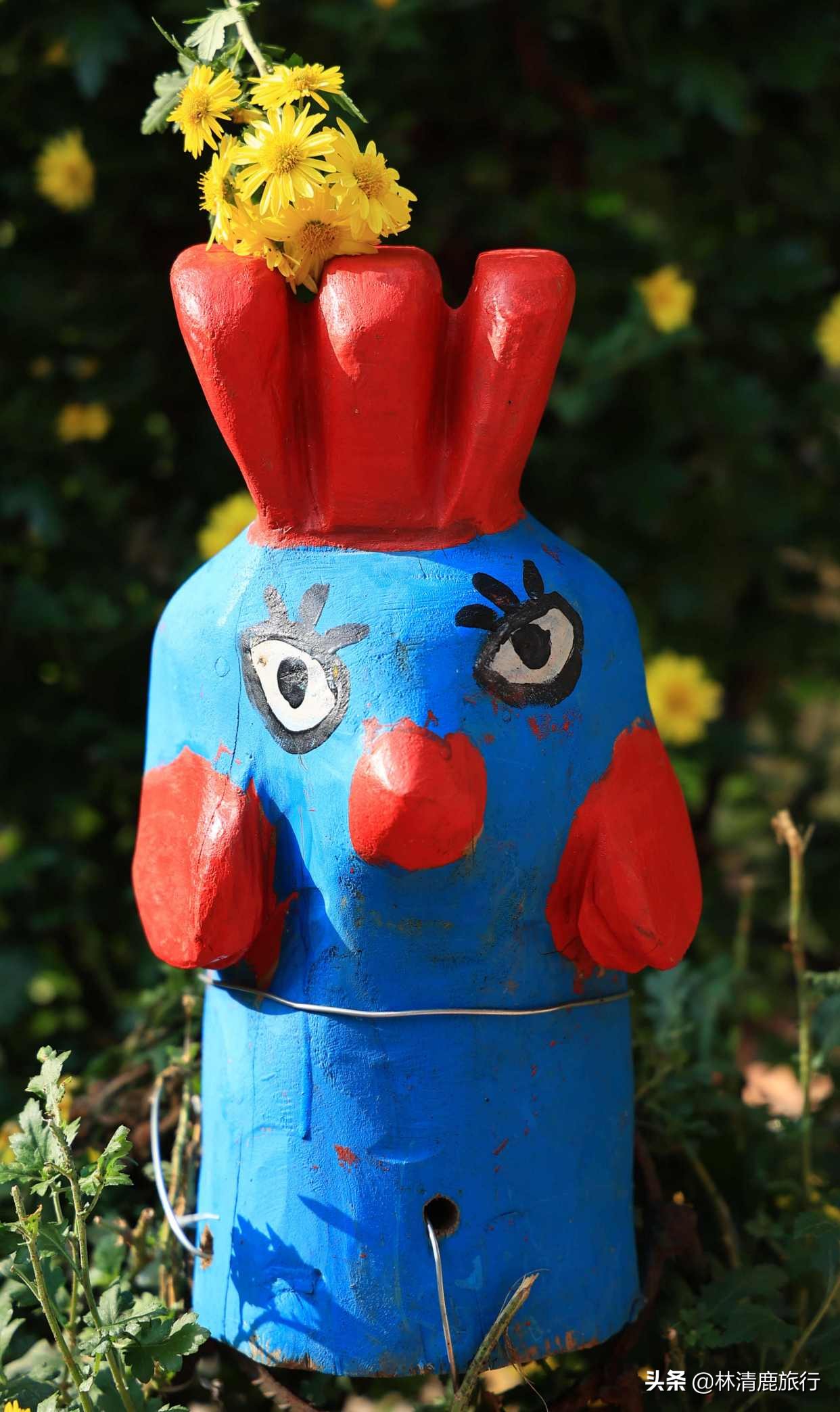 离郑州最近银杏园赏秋,郑州银杏惊艳了秋天