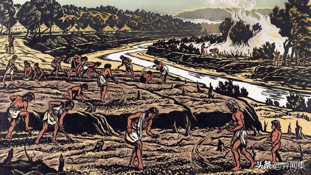 神农尝百草记录了几种草药,神农尝百草一共尝过哪些草药