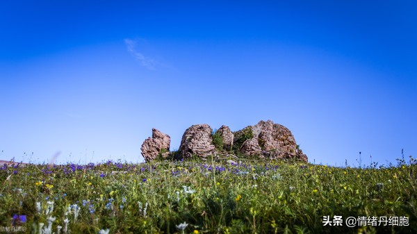 门头沟避暑景点推荐,柳树沟自然风景区旅游攻略