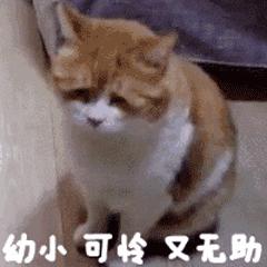 剖腹产子宫内膜异位痛,剖腹产生二胎子宫破裂