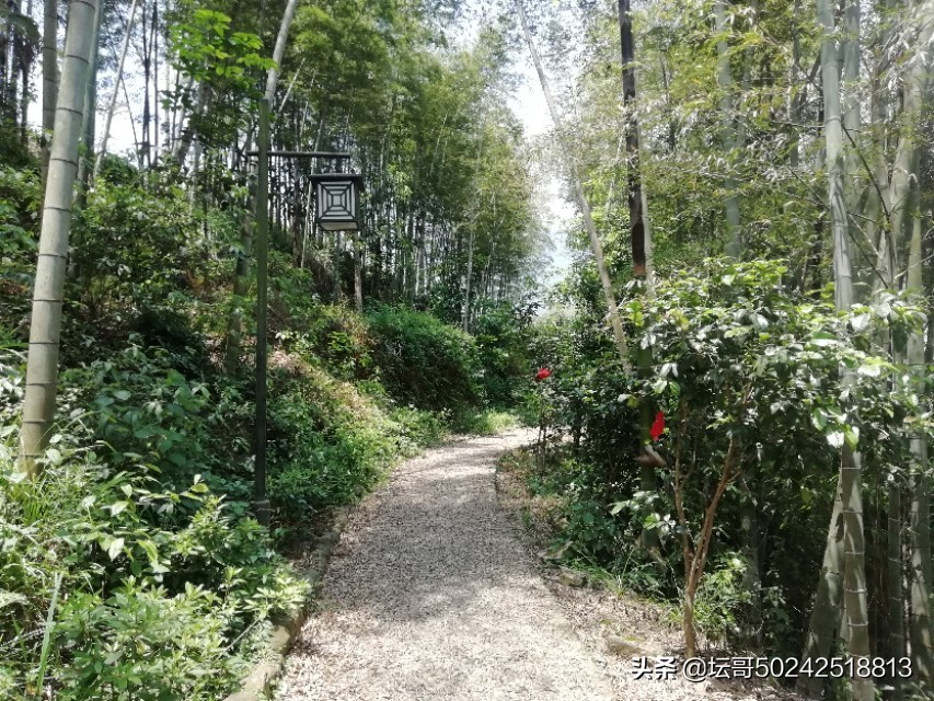 宁德福安过洋村视频,福安溪尾过洋村