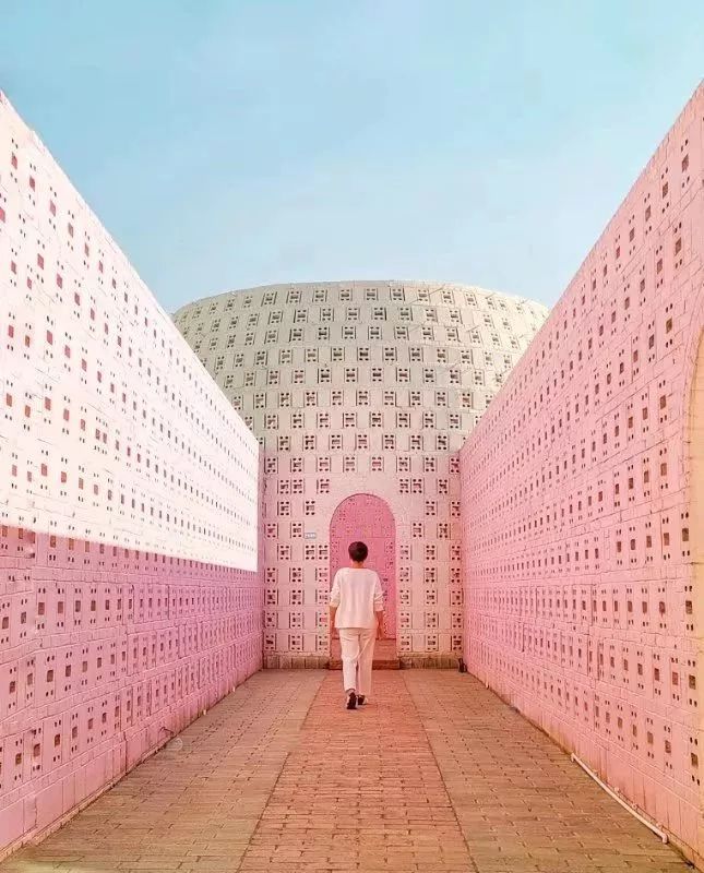 点赞他们的高光时刻,大家用手机拍出过什么好看的照片