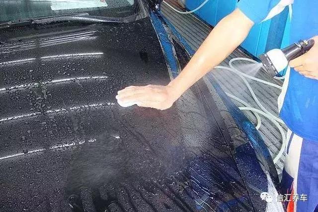 树油、虫尸、酸雨、紫外线……算个球