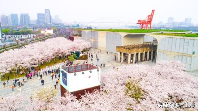 徐汇滨江丰谷路工地,徐汇滨江重点项目工程