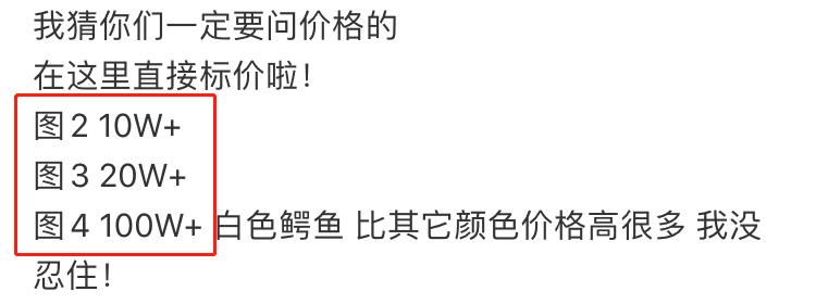 王思聪1000多万的衣服,王思聪三十万的衣服