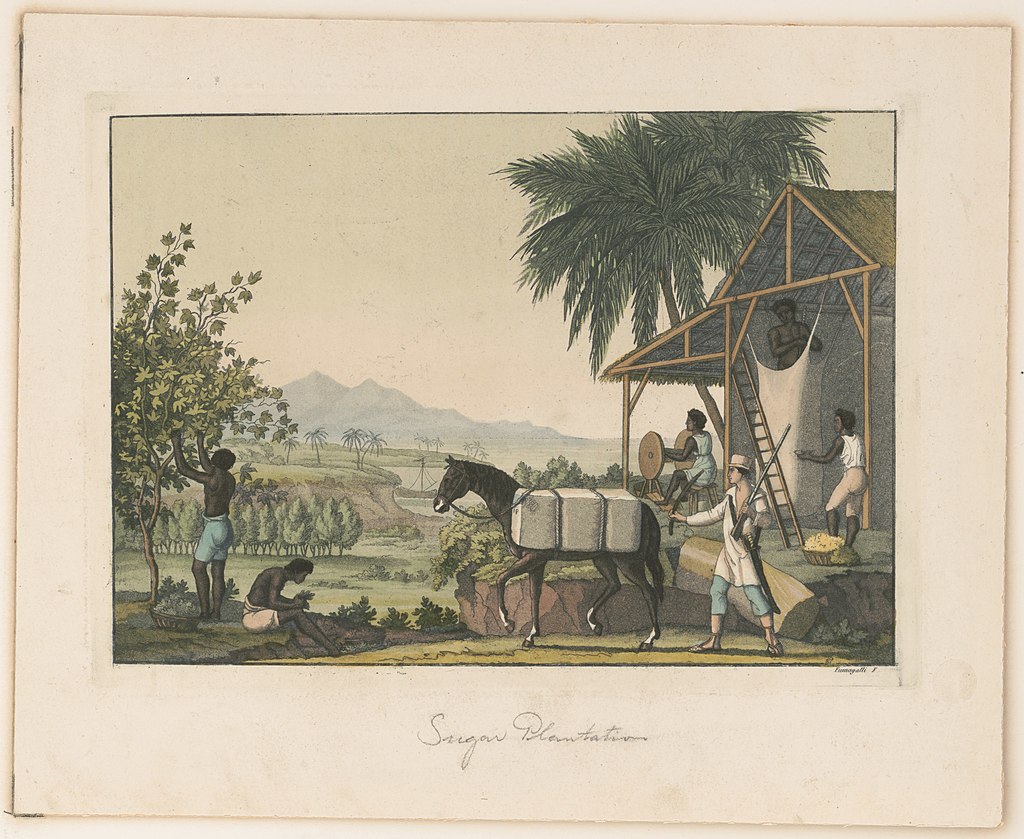 砂糖中的世界史,砂糖里的历史故事