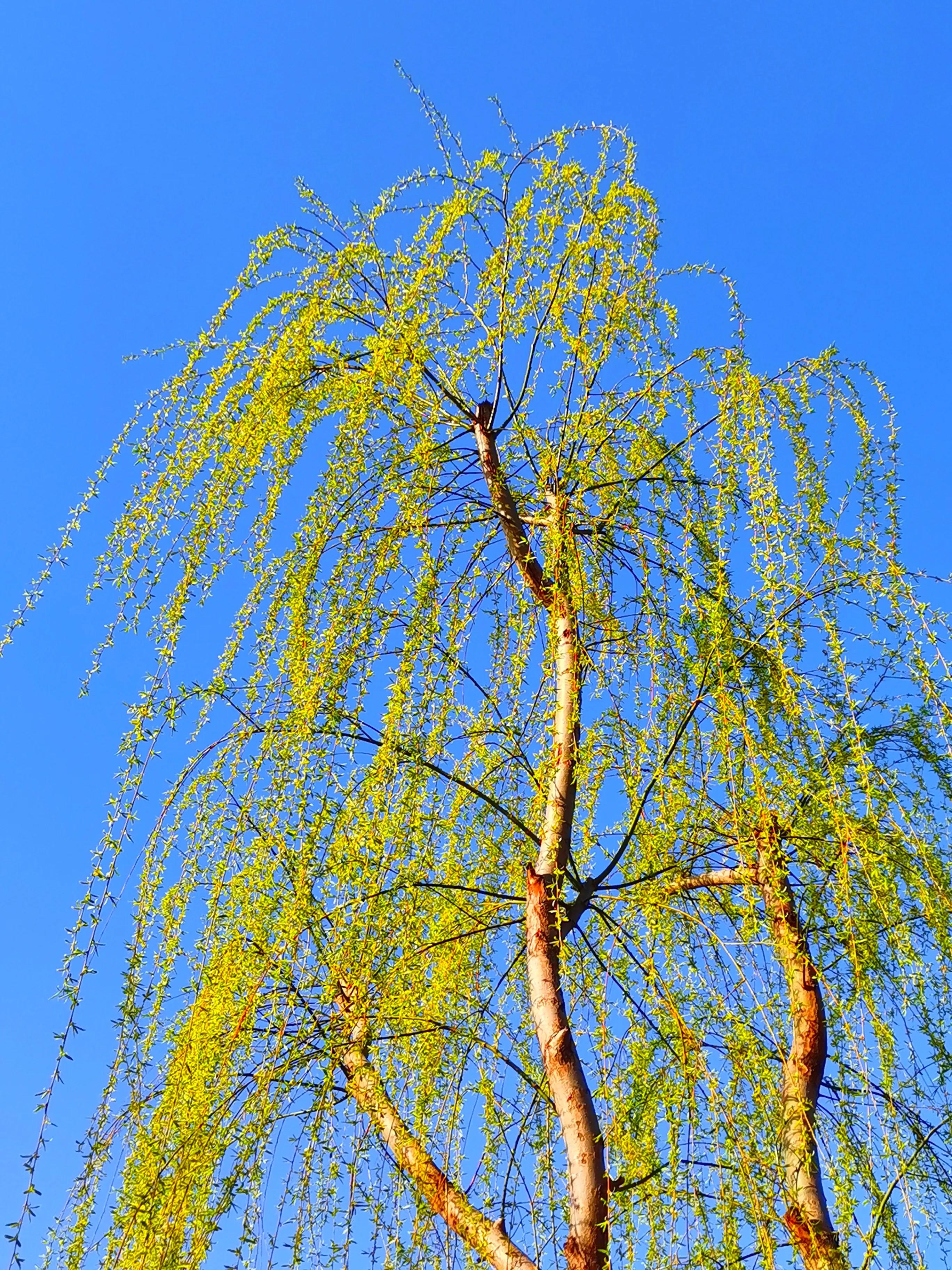 *访上**不当也会违法的（详解）