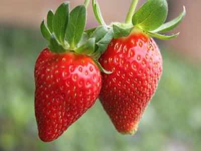 合肥有什么特产值得带,去安徽合肥必买的特产