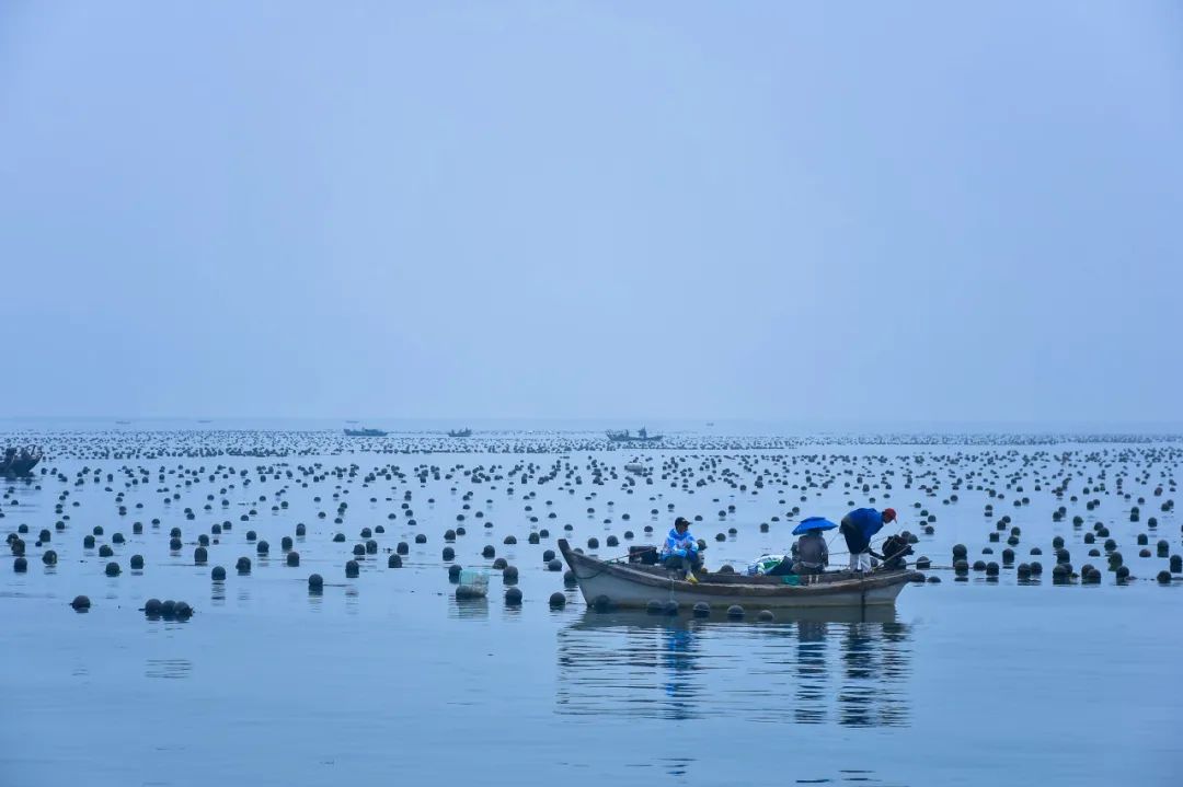 比三亚便宜的海边小城,比三亚便宜的海滨慢城