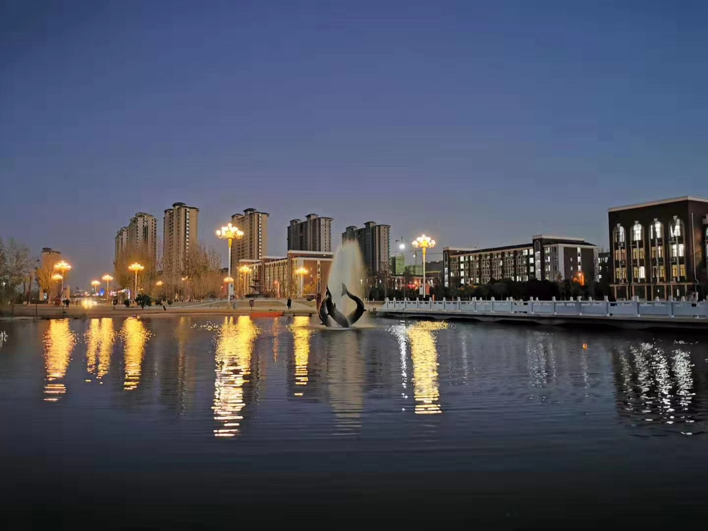 河南民办高校（本科）大起底：野花儿香，能采不？