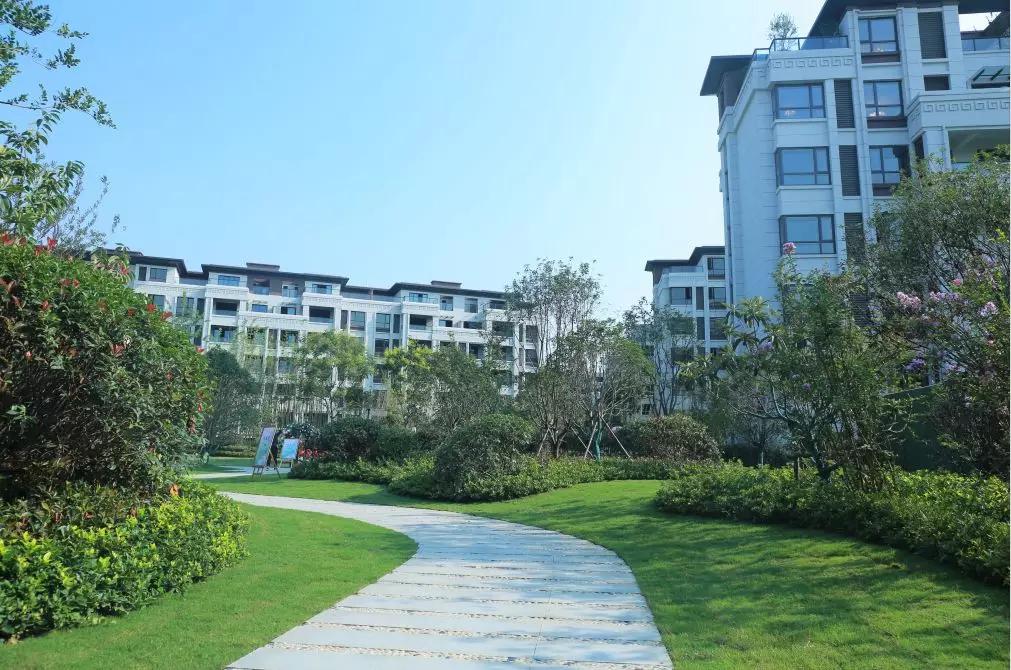 板桥地王未来5年规划,板桥地王什么时候开