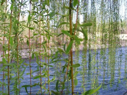舌尖上的中国百年相传美食,舌尖上的中国美食教材书