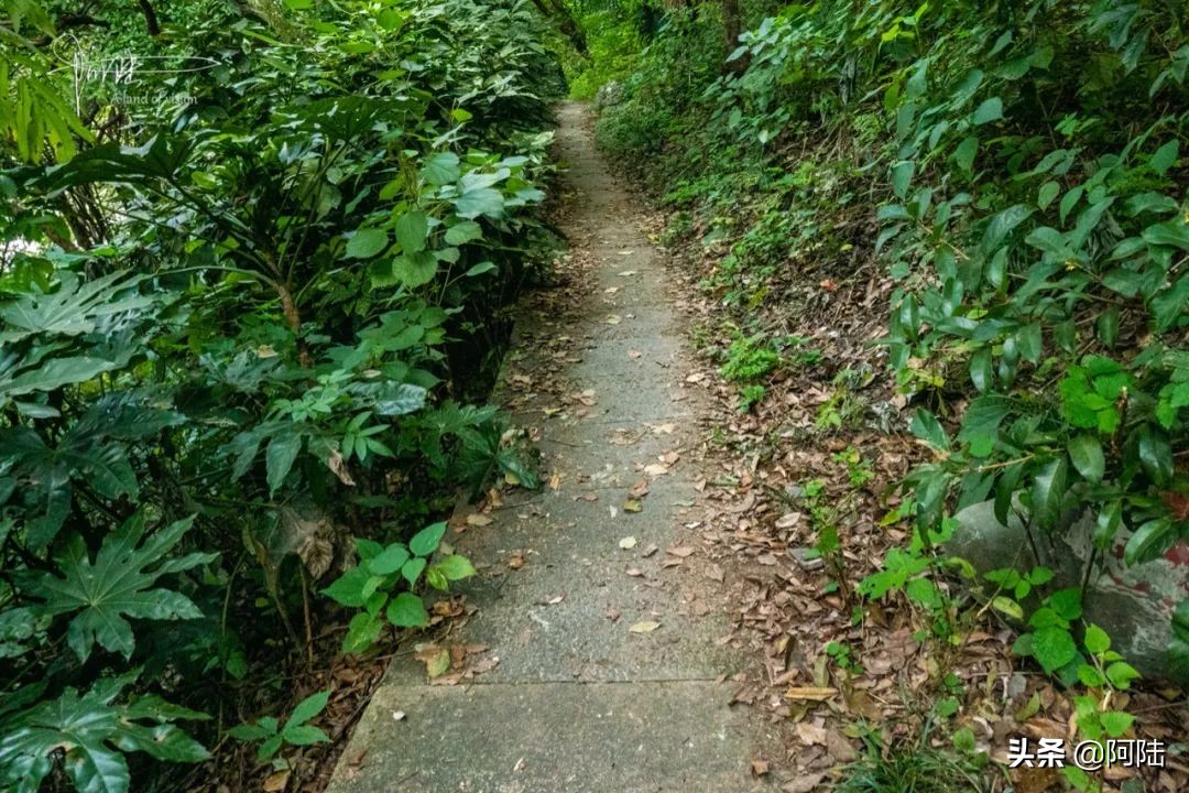 杭州第一街河坊街,杭州河坊街最繁华