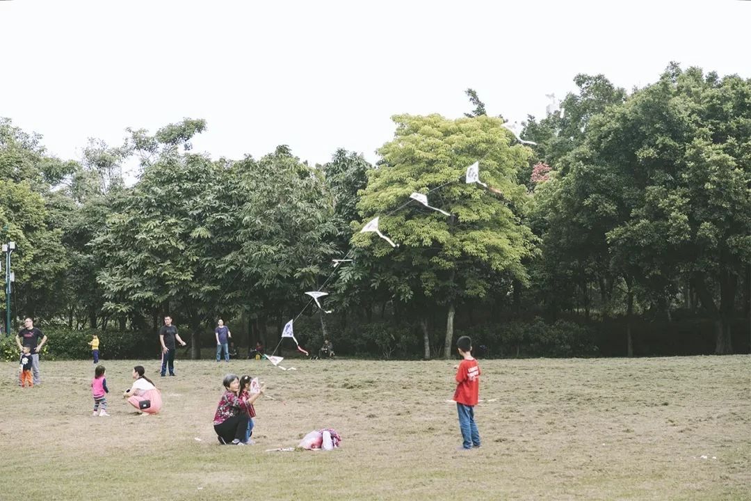 去深圳免费游玩的10个地方,深圳免费游玩景点推荐