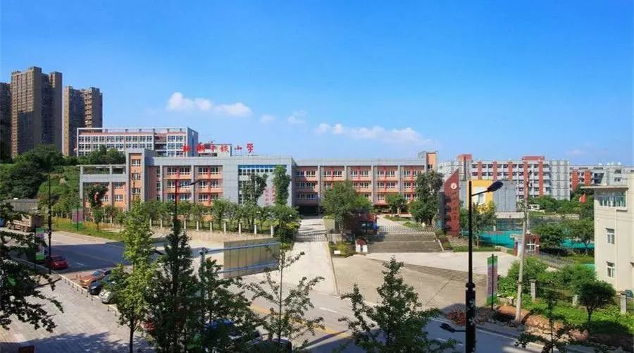 南岸珊瑚小学南山校区,重庆珊瑚小学和树人小学