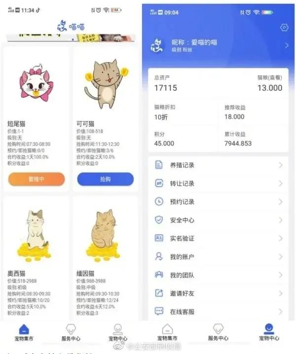 云养猫赚钱靠谱吗,云养猫的成功案例