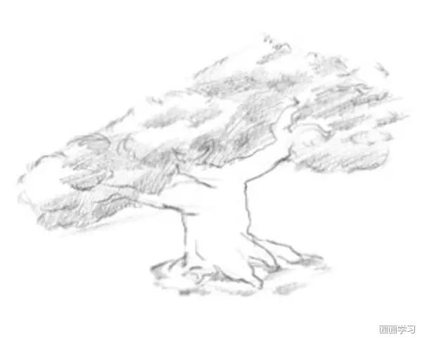 油画画树教程,怎么画树好看又超级简单