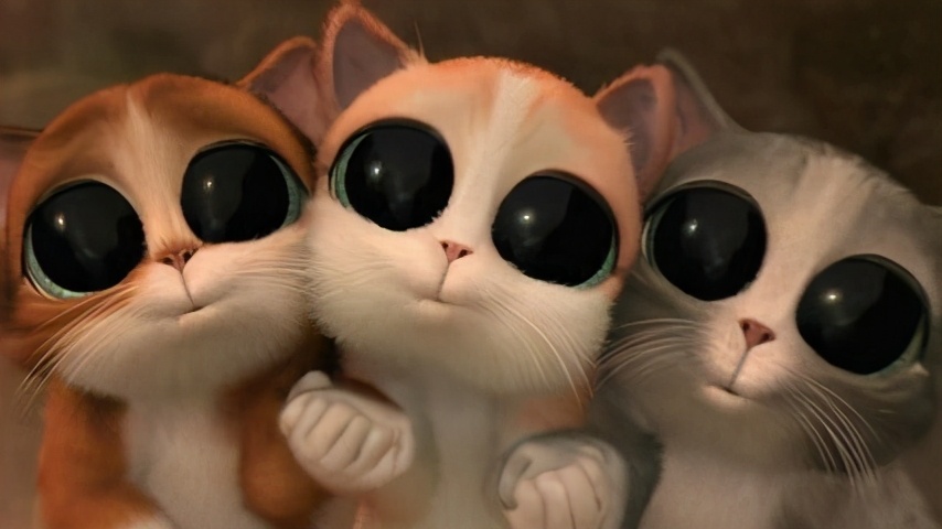 为什么有的人眼睛看起来清澈明亮,为什么有的人眼睛看起来没有光