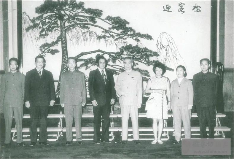 中国唯一的国宝树,中国仅存的一棵稀有的树