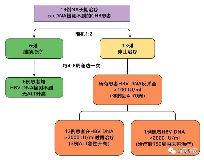 乙肝抗病毒治疗cccdna会下降吗,长期吃核苷类药的影响