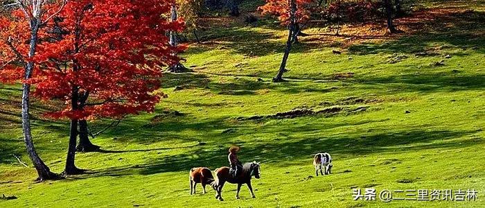 吉林秋天旅游线路,吉林土著推荐周末旅游路线