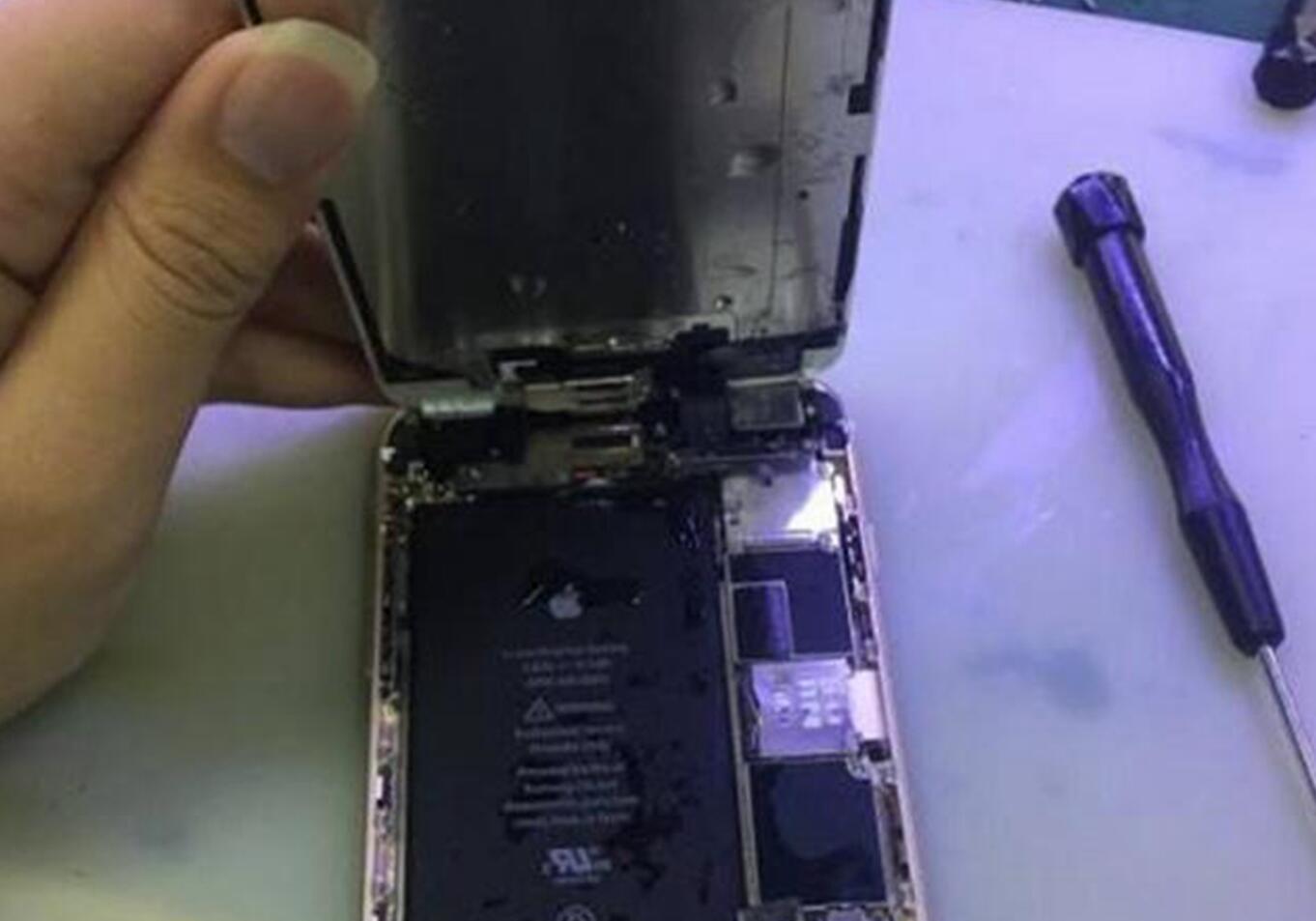 手机掉水里了黑屏了应该怎么处理,手机不慎掉进水里怎么能恢复正常