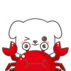 40-50岁抗老紧致精华,30+抗老紧致精华大牌