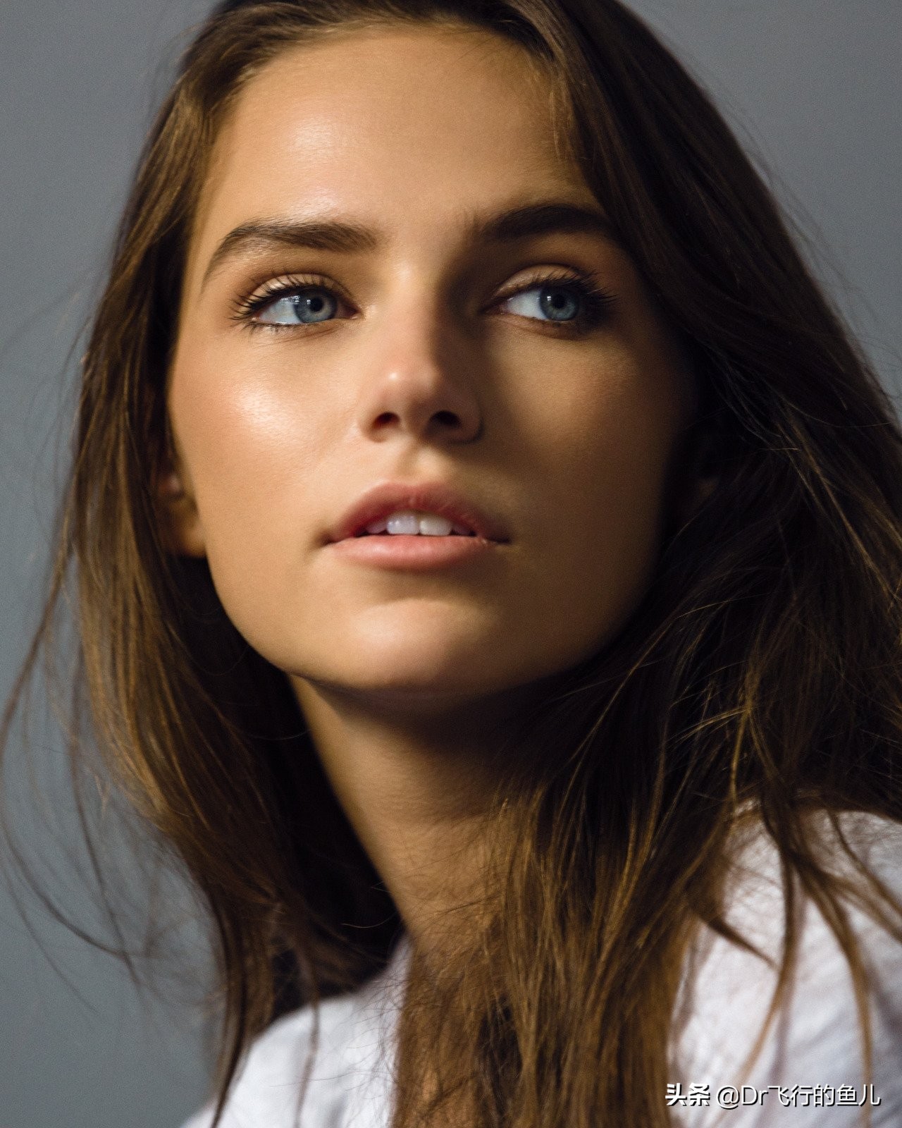 黑莓手机经历了啥,黑莓手机现状如何