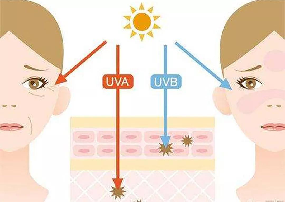分享12月爱用物,我的12月