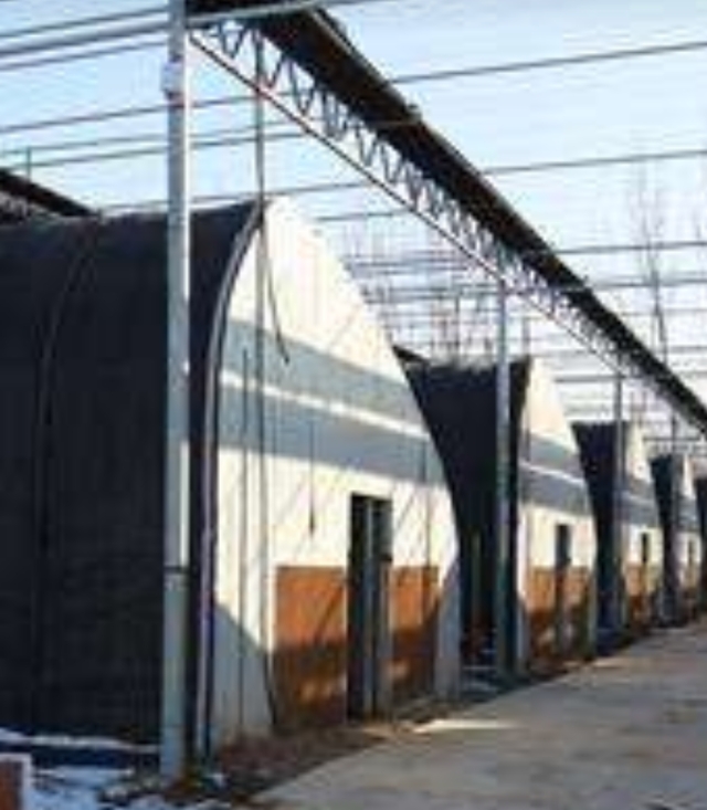 关于香菇出菇技术的视频,香菇不出菇如何解决