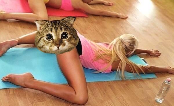 光靠青蛙趴能练出横叉来吗,横叉青蛙趴训练目的