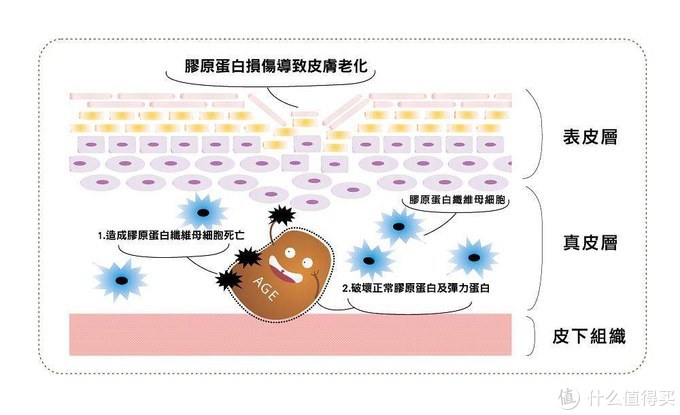 每天煮个饭就有神仙水！ 各种小窍门秘诀大公开