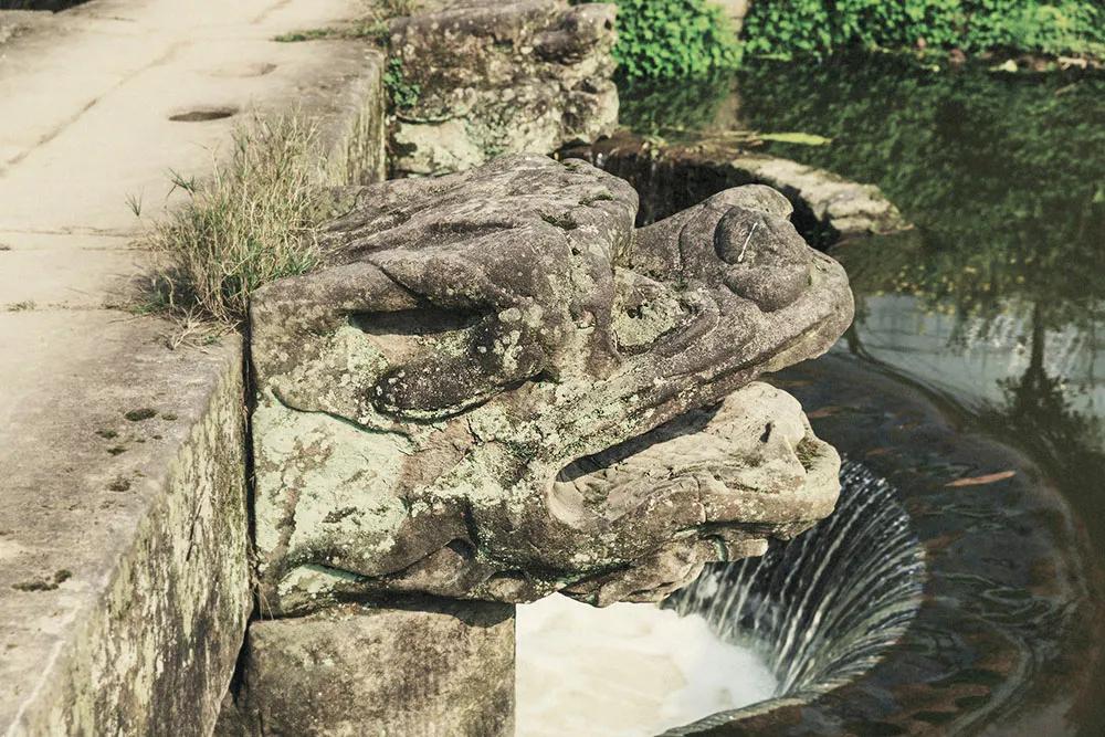 你知道么？九龙坡最好看的几座桥都在同一条大溪河上