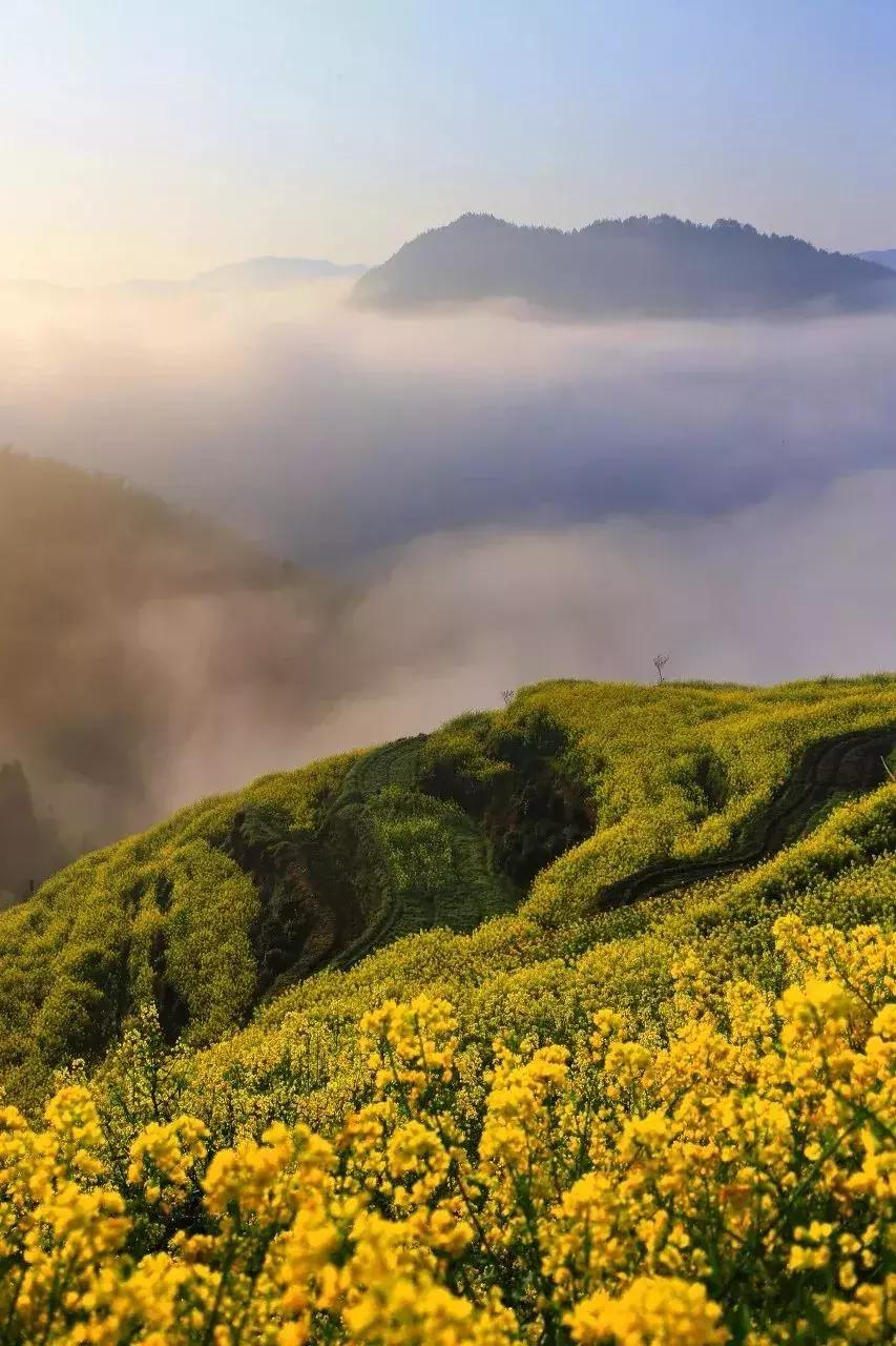 一个徽州惊艳全世界,徽州凭什么惊艳世界