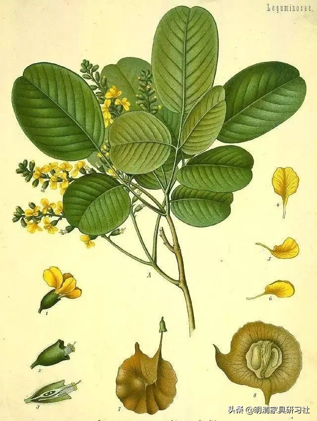 一文读懂沉香,一文读懂瓷器