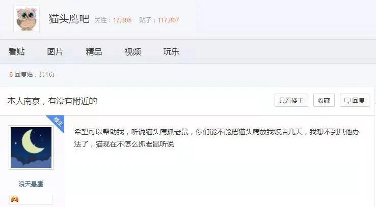 有多少南京人，获得过猫头鹰的祝福